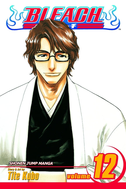 Bleach, Vol. 12: Flower on the Precipice by Kubo, Tite