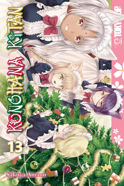 Konohana Kitan, Volume 13 by Amano, Sakuya