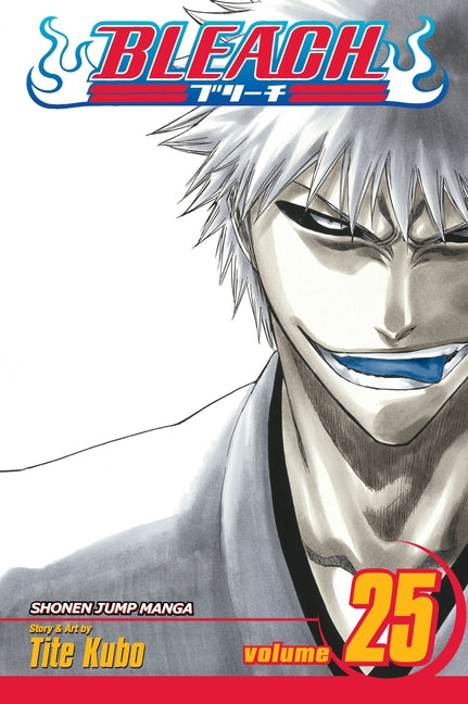 Bleach, Vol. 25: No Shaking Throne by Kubo, Tite