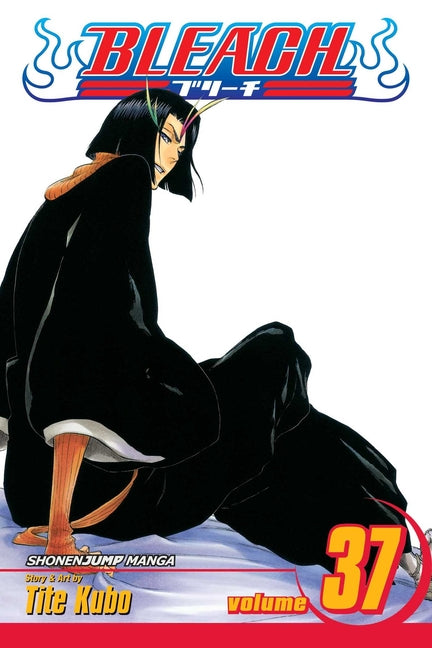 Bleach, Vol. 37: Beauty Is So Solitary by Kubo, Tite