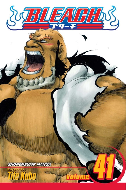 Bleach, Vol. 41: Heart by Kubo, Tite