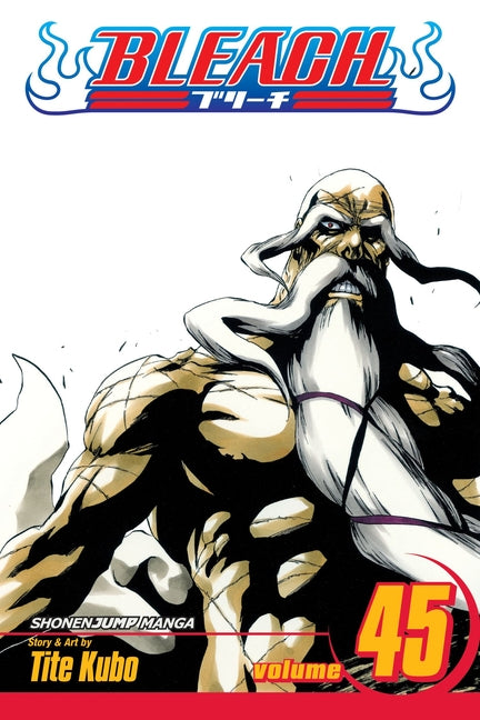 Bleach, Vol. 45: The Burnout Inferno by Kubo, Tite