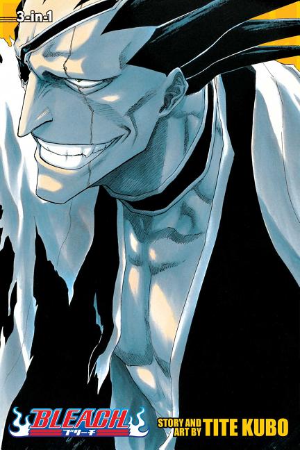 Bleach, Volumes 13-15 by Kubo, Tite