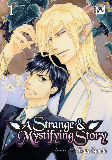 Strange & Mystifying Story, Vol. 1 by Suzuki, Tsuta