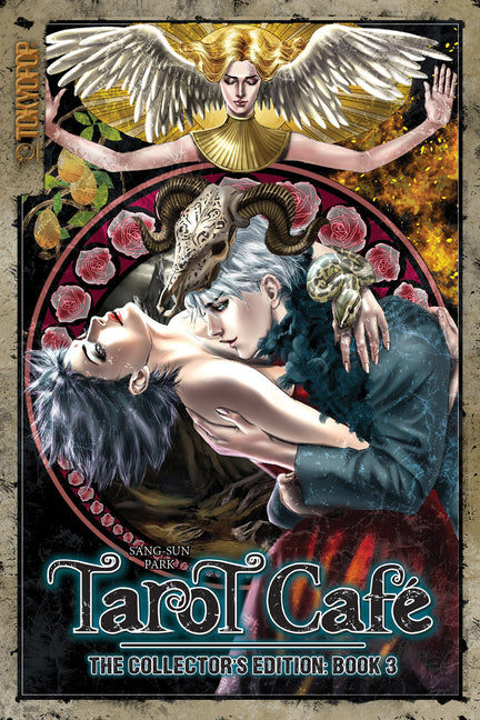 Tarot Café the Collector's Edition, Volume 3 by Park, Sang-Sun