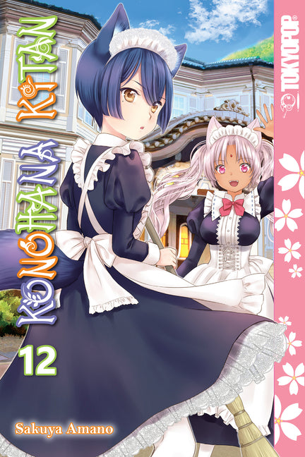Konohana Kitan, Volume 12 by Amano, Sakuya
