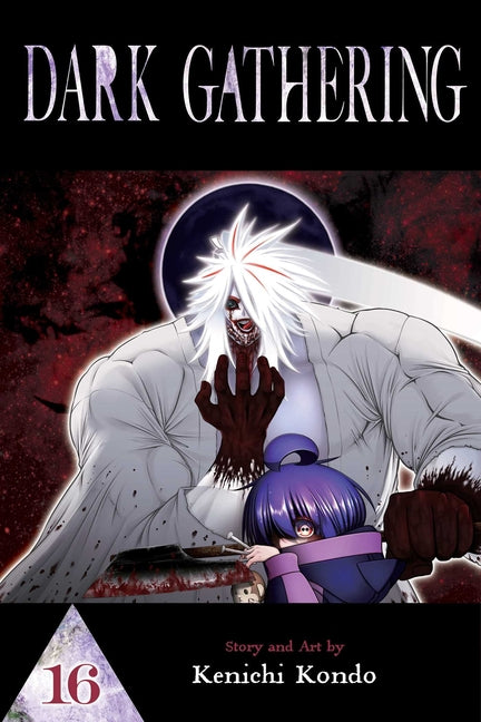 Dark Gathering, Vol. 16 by Kondo, Kenichi