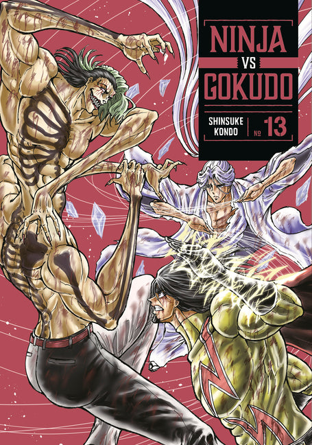 Ninja vs. Gokudo 13 by Kondo, Shinsuke