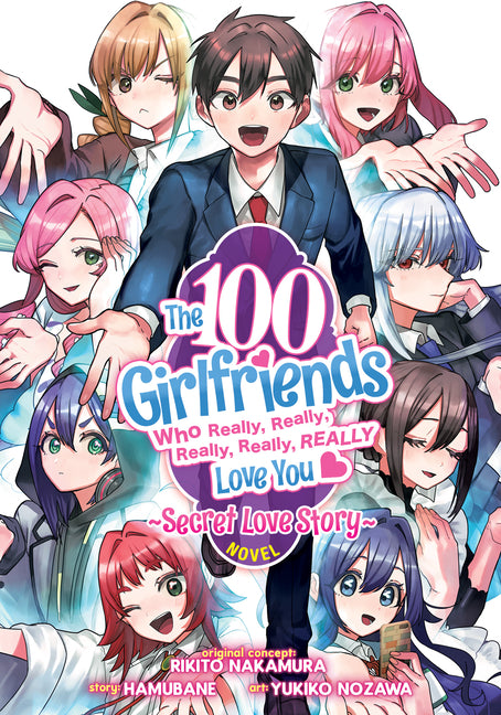 The 100 Girlfriends Who Really, Really, Really, Really, Really Love You: Secret Love Story (Light Novel) by Nakamura, Rikito